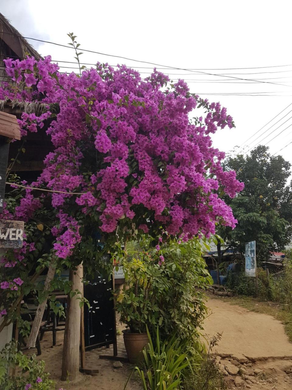 Lattanavongsa Guesthouse And Bungalows Muang Ngoi Exterior photo